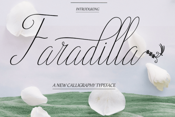Faradilla Brings an Effortless Grace to Every Design That Needs a Human Voice