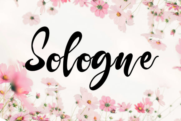 Sologne: The Elegant Font for Your Creative Process